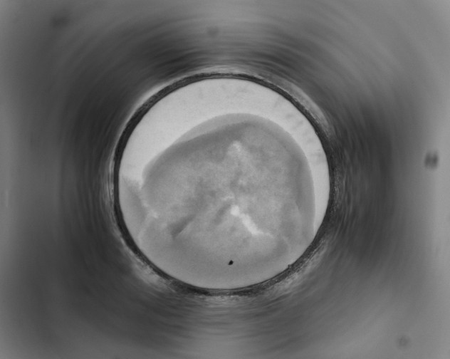 X0000102840988200809151059