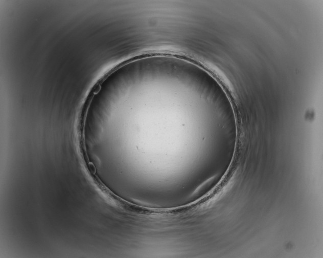 X0000102840989200809151059