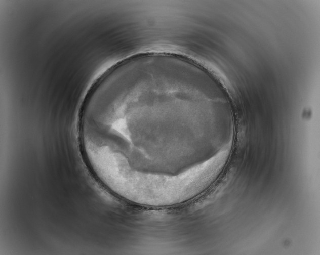 X0000102840990200809151059