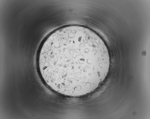 X0000102840991200809151059