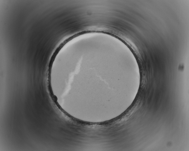 X0000102840992200809151059