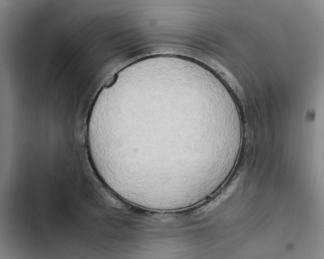 X0000102840993200809151059