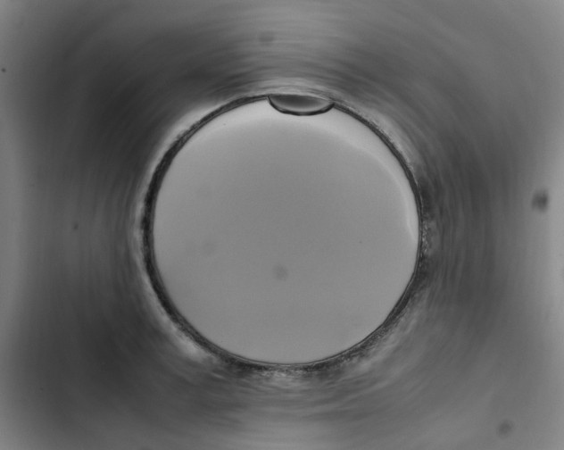 X0000102840995200809151059