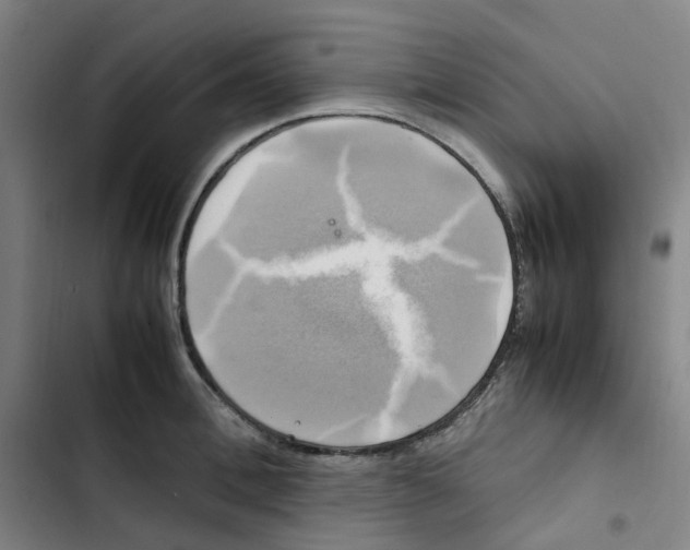 X0000102840996200809151059