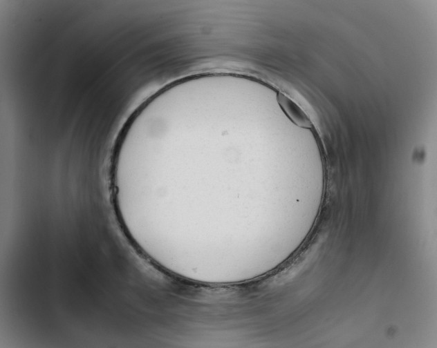 X0000102840997200809151059