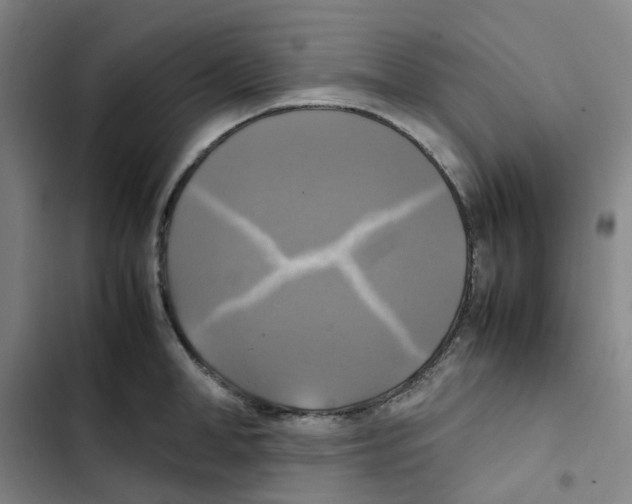 X0000102840998200809151059