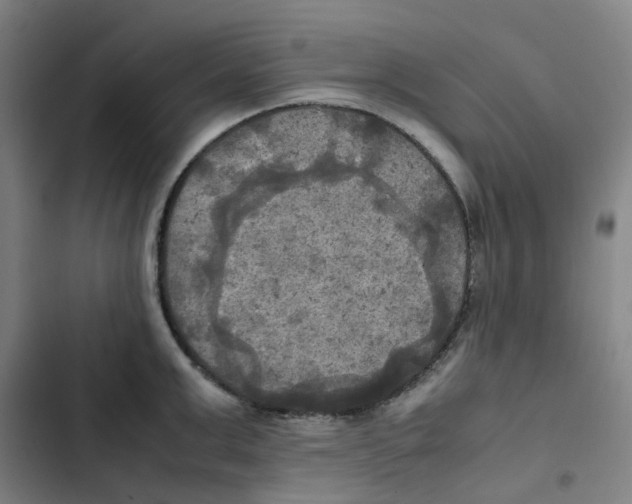 X0000102840999200809151059