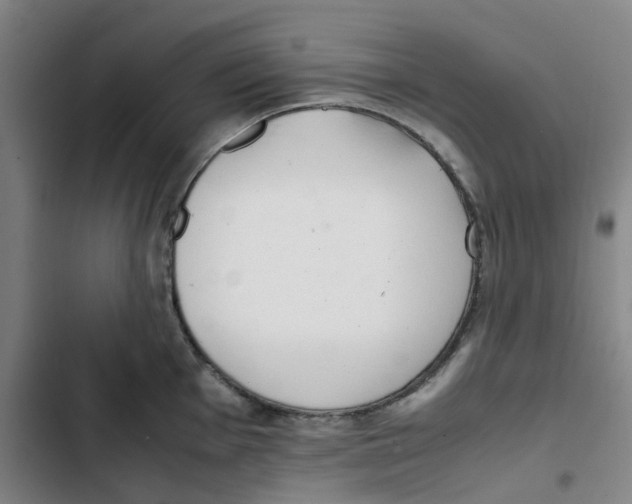 X0000102841001200809151059