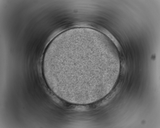 X0000102841002200809151059