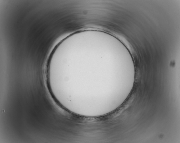 X0000102841003200809151059