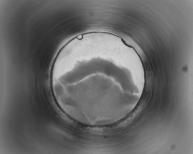 X0000102841004200809151059