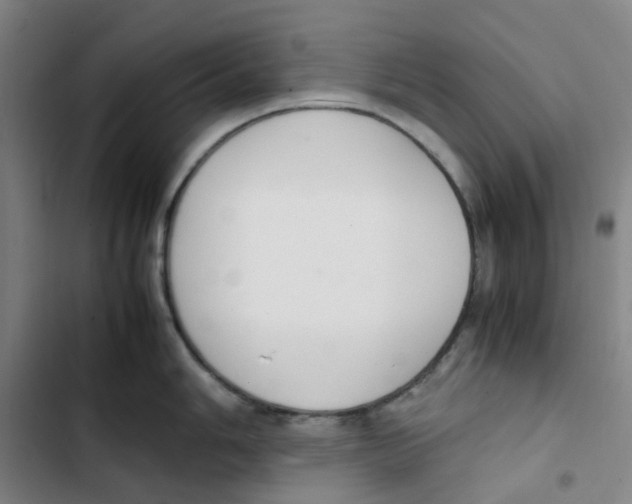 X0000102841006200809151059