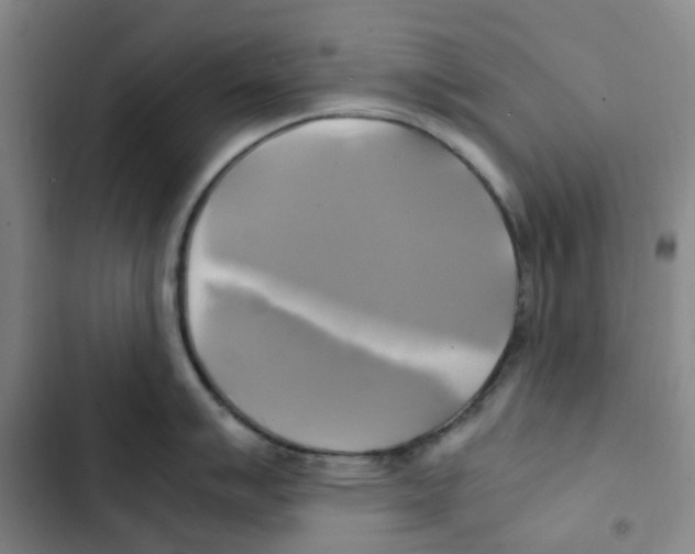 X0000102841007200809151059