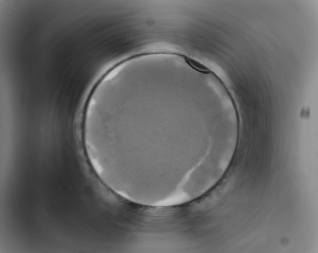 X0000102841008200809151059