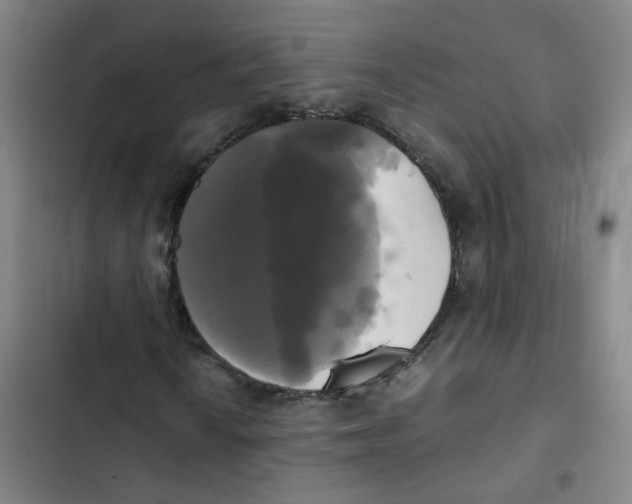 X0000102841010200809151058