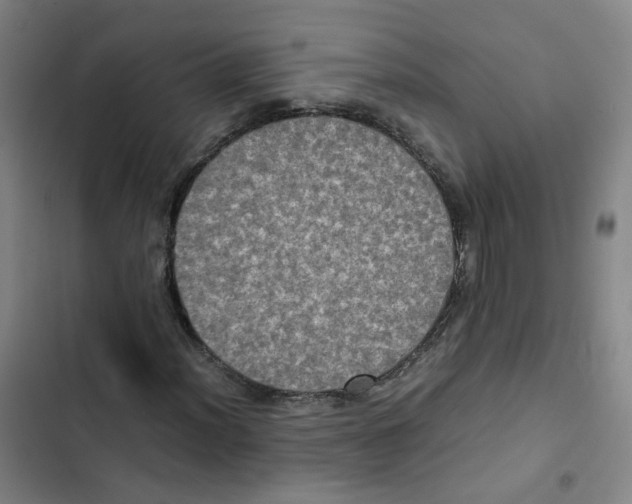 X0000102841012200809151058