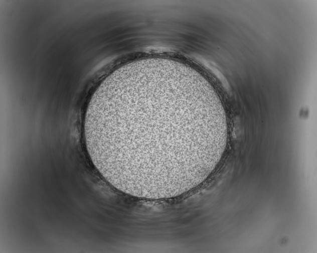 X0000102841015200809151059