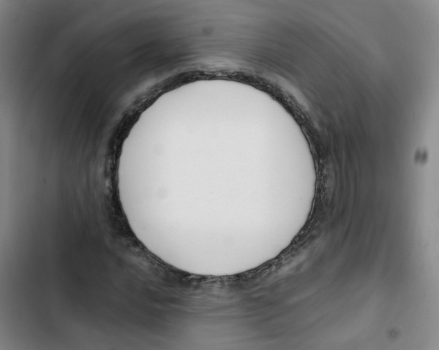 X0000102841016200809151059