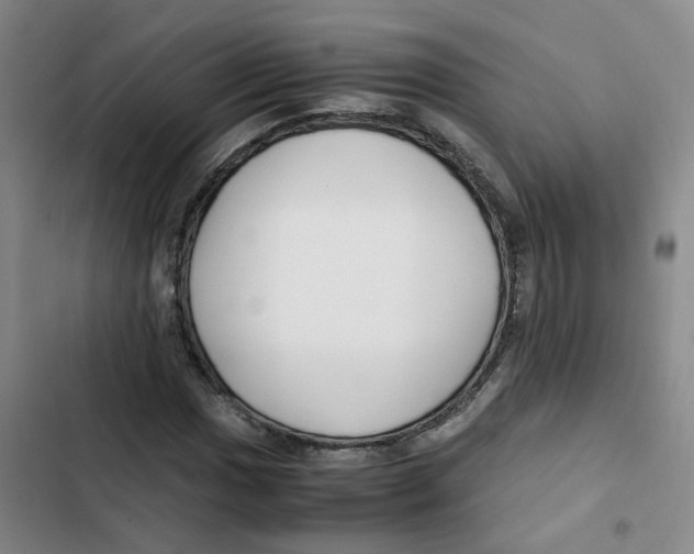 X0000102841017200809151059