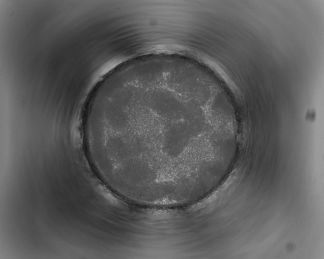 X0000102841018200809151059