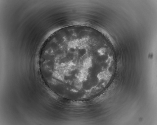 X0000102841019200809151059