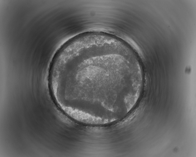 X0000102841020200809151059