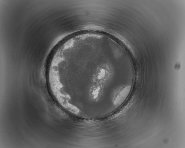 X0000102841022200809151059