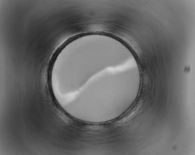 X0000102841023200809151059