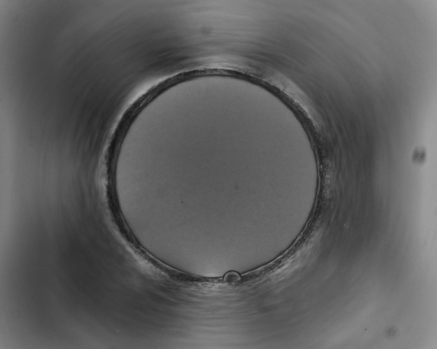 X0000102841024200809151059