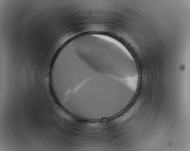 X0000102841025200809151059