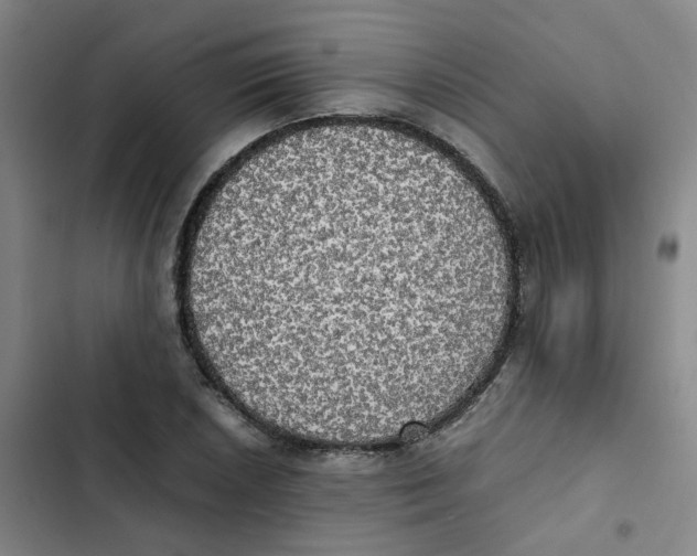 X0000102841026200809151059