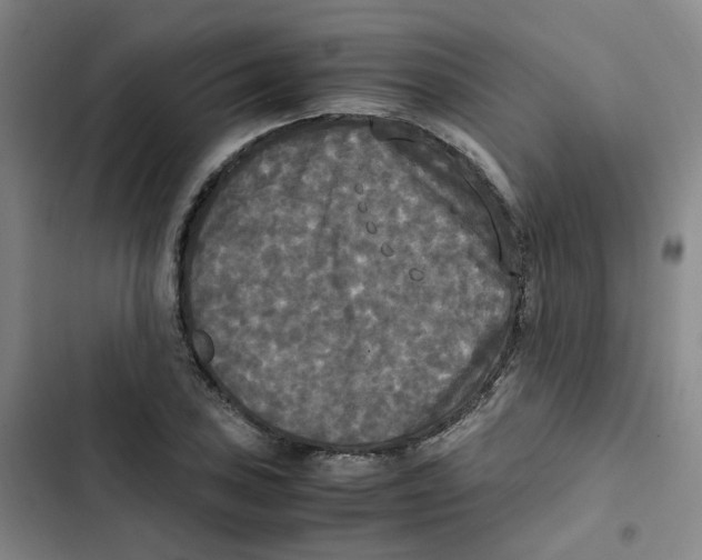 X0000102841027200809151059