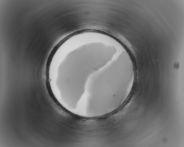 X0000102841028200809151059