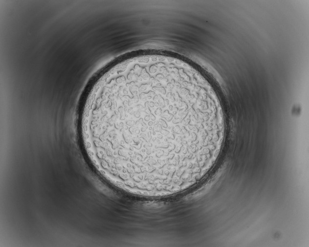 X0000102841029200809151059