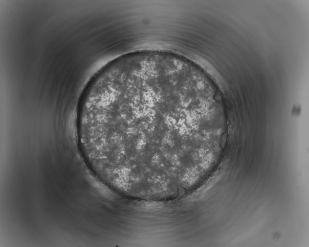 X0000102841030200809151059