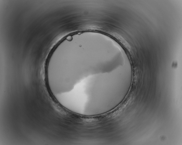 X0000102841031200809151059