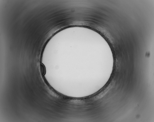 X0000102841033200809151059