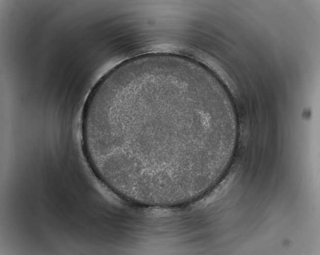 X0000102841034200809151059