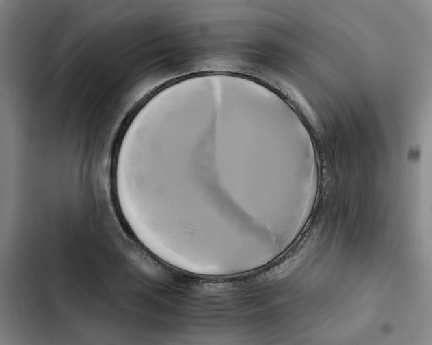 X0000102841035200809151059