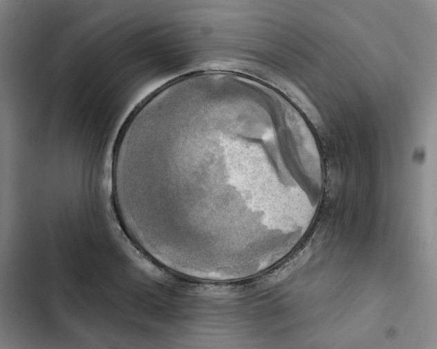 X0000102841036200809151059