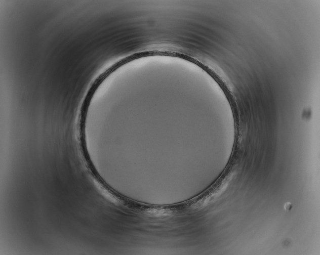 X0000102841037200809151059