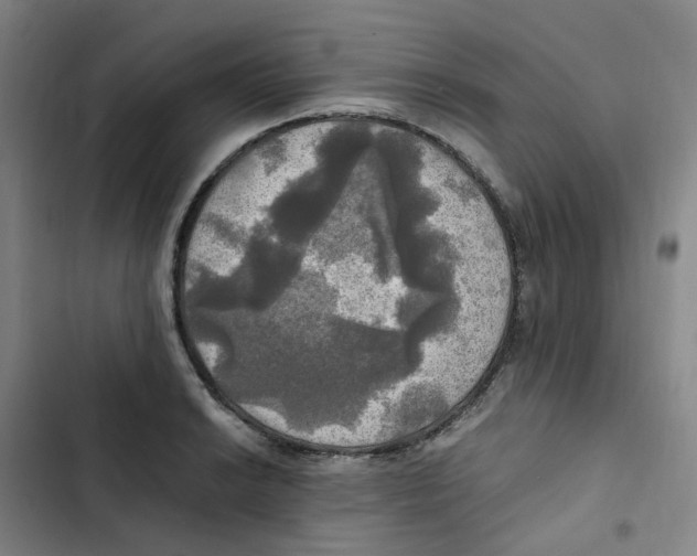 X0000102841038200809151059