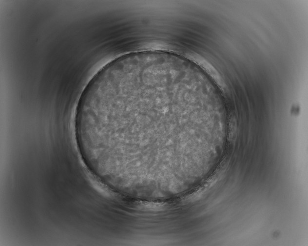 X0000102841039200809151059