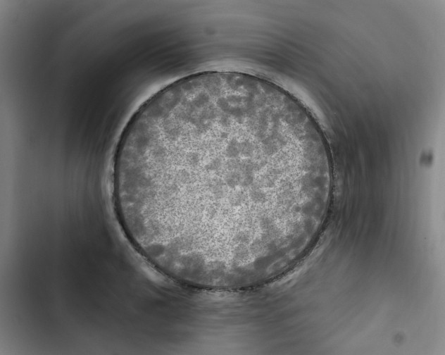 X0000102841040200809151059