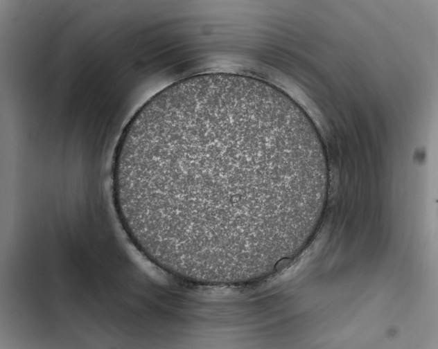 X0000102841042200809151059