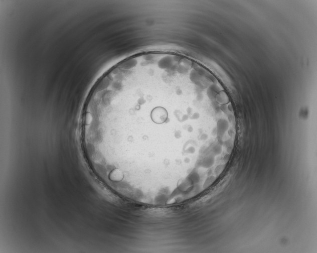 X0000102841044200809151059