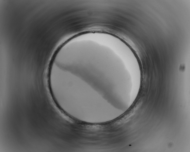 X0000102841045200809151059