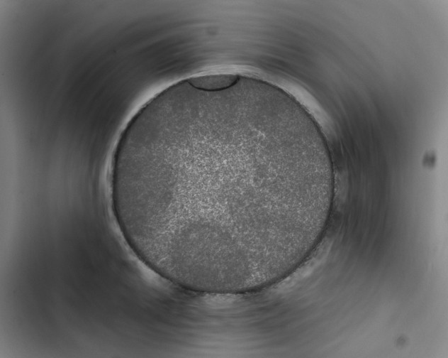 X0000102841046200809151059