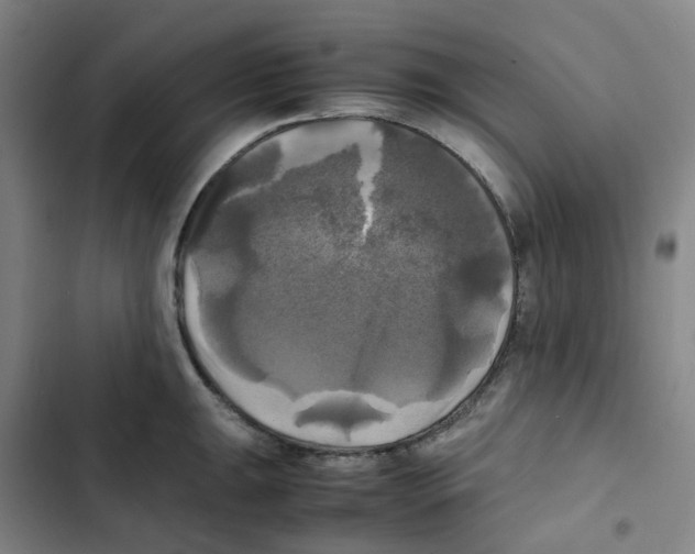 X0000102841047200809151059