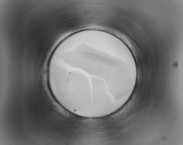 X0000102841048200809151059